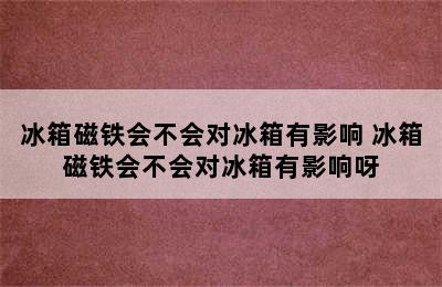 冰箱磁铁会不会对冰箱有影响 冰箱磁铁会不会对冰箱有影响呀